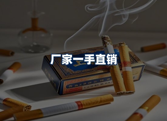 专业团队办公环境